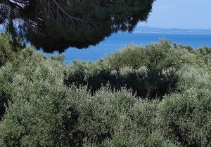 Jootiq Villas. Combine traditional stone built concept with supreme comfort!