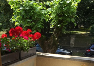 KŐNIG APARTMAN I. A HÉVÍZI TÓTÓL 300 MÉTERRE TALÁLHATÓ!