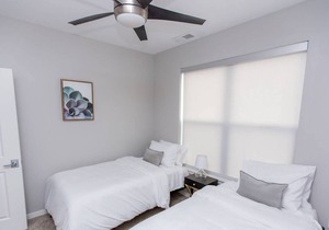 Kasa | Take a Stroll in Forest Park | Forest Park