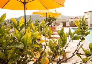 Kimpton Canary Hotel, an IHG Hotel