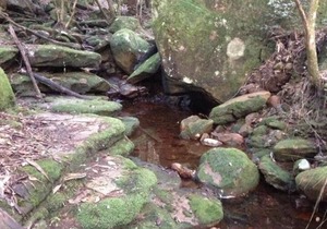 Kurrajong Trails and Cottages