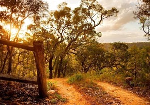 Kurrajong Trails and Cottages