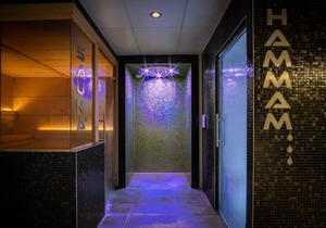 Kyriad Prestige Lyon Est - Saint Priest Eurexpo Hotel and SPA