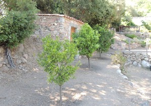 L'Ortu di Pisettu - 2