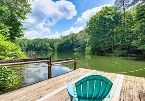 Lakeside Cabin Game Room, Dock, Orchard, Wineries