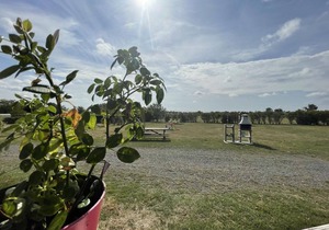 Lakeview Chalets: Terraces, BBQ, Swimming, Pedal Boats, Fishing, Pet-Friendly, All-Inclusive Amenities