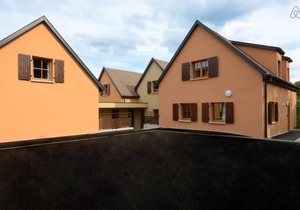 lavande le clos des vignes