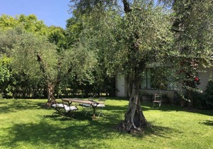 Le Chiusure - apartment 'Giardino'