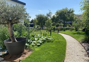 Le clos des Pommiers Fuji