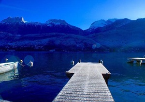 Les Libellules by Locationlacannecy