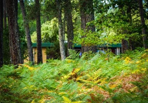Les Villages sous les Pins, piscines chauffées, Les Arbousiers