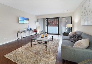 Lincoln Park Beauty| Great Location, near beach, zoo, Northwestern Hospital