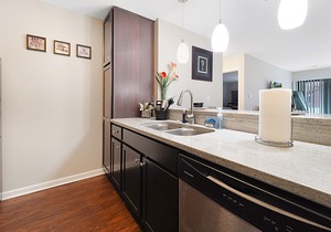 Lincoln Park Beauty| Great Location, near beach, zoo, Northwestern Hospital