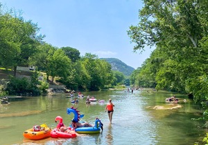 Live Life from a Birdseye View!