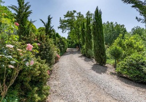 Locazione Turistica Villa Lavinia.1
