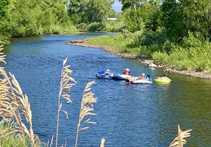 Lola House! Cozy Comfort, Prime Old Town Location