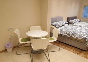 London Luxury 2 bed studio 4 mins from Ilford Stn - FREE parking, WiFi, garden access