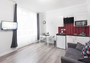 lovely entire flat - eurostar - kings cross 2