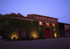 Lovely gite with pool in ancient wine domaine Lovely