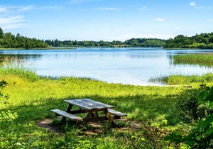 Lovely home in Hampen with kitchen