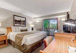 Lovely lakefront suite with resort amenities & shared dock - dogs OK!