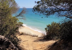 Lovely Studio Marta on the beach Falesia, Albufeira