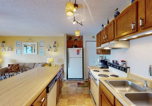 Lower level lakefront condo