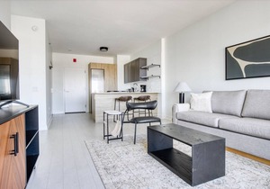 Luxe West Loop 1BR w/Gym, Pool, Coworking, walk to UIC, by Blueground