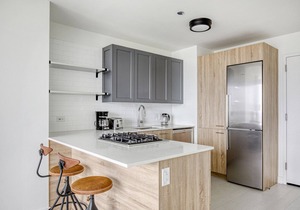 Luxe West Loop Studio w/Gym, Pool, Coworking, walk to UIC, by Blueground