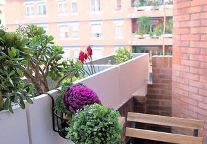 Luxurious 2 bedrooms and 2 bathrooms apartment near the Vatican