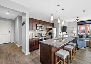 Luxurious Downtown Corner 2bd2bth-City/River-#320