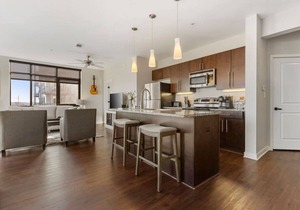 Luxurious Downtown Corner Views 2 bed 2bath-#211