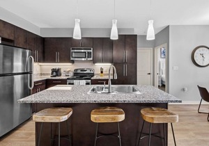 Luxurious Large 2 bed 2 bath Downtown Condo- #402