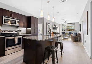 Luxurious Large 2 bed 2 bath Downtown Condo- #302