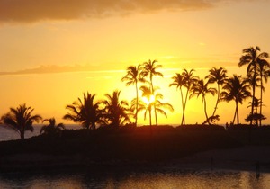 Luxurious Ocean View Suite - Beach Villas at Ko Olina 8th FL #O824 - End Unit🏝️