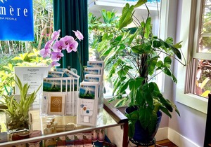 Luxurious Sunrise Suite @ Hawi Guesthouse