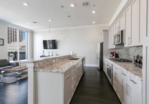 Luxury 3 BR Penthouse with balcony in Downtown NOLA