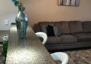 Luxury Perimeter Center Apartment