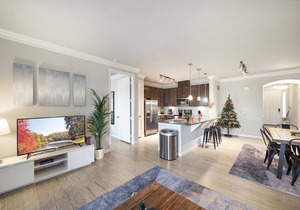 Luxury Townhome + Pool | North Austin | Evonify 1413