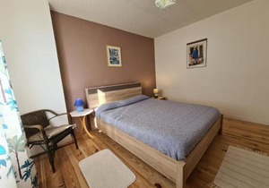 Maison avec piscine chauffée, bain nordique et grand jardin près d'Argenton-sur-Creuse - FR-1-591-63