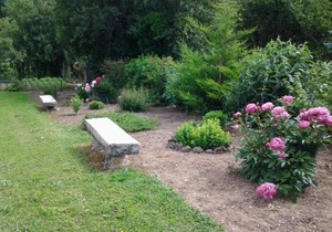 Maison Indépendante avec Grand Jardin et Cheminée, Proche Saint Pourçain - Confort et Tranquillité - FR-1-489-38