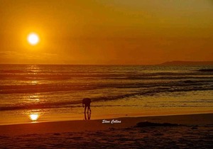 Marari sea scape house