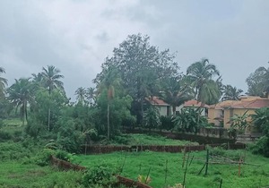 Maria Guesthouse Colva