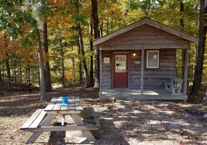"Martin" Camping Cabin #12 | Pet Friendly
