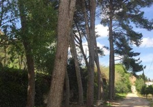 MASIA LA MOLINERA