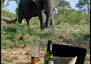 Mjejane bush lodge