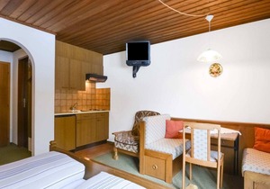 Modern Apartment in Leutasch with Garden