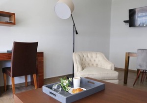 Modern Studio near Reforma S4