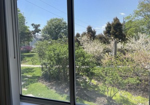 Monthly Rental! Walk to Beach from adorable 1 bedroom cottage