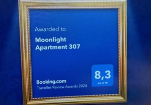 Moonlight Apartment 307
